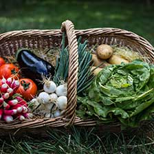 Fruits et légumes locaux - La Ferme de Marie-Jeanne à Andel